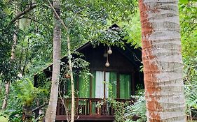 Nature World Jungle Paradise