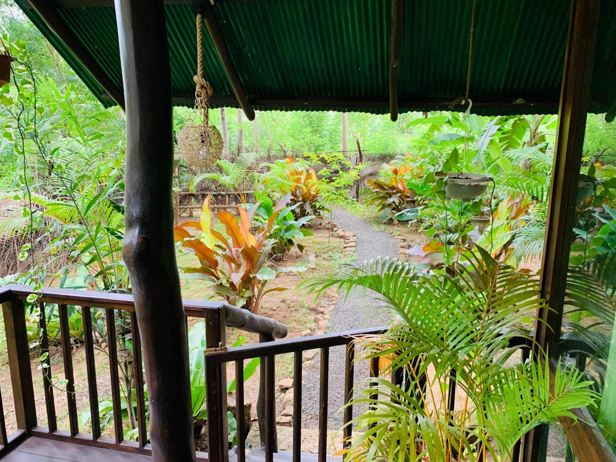 Nature World Jungle Paradise Uda Walawe Chambre photo