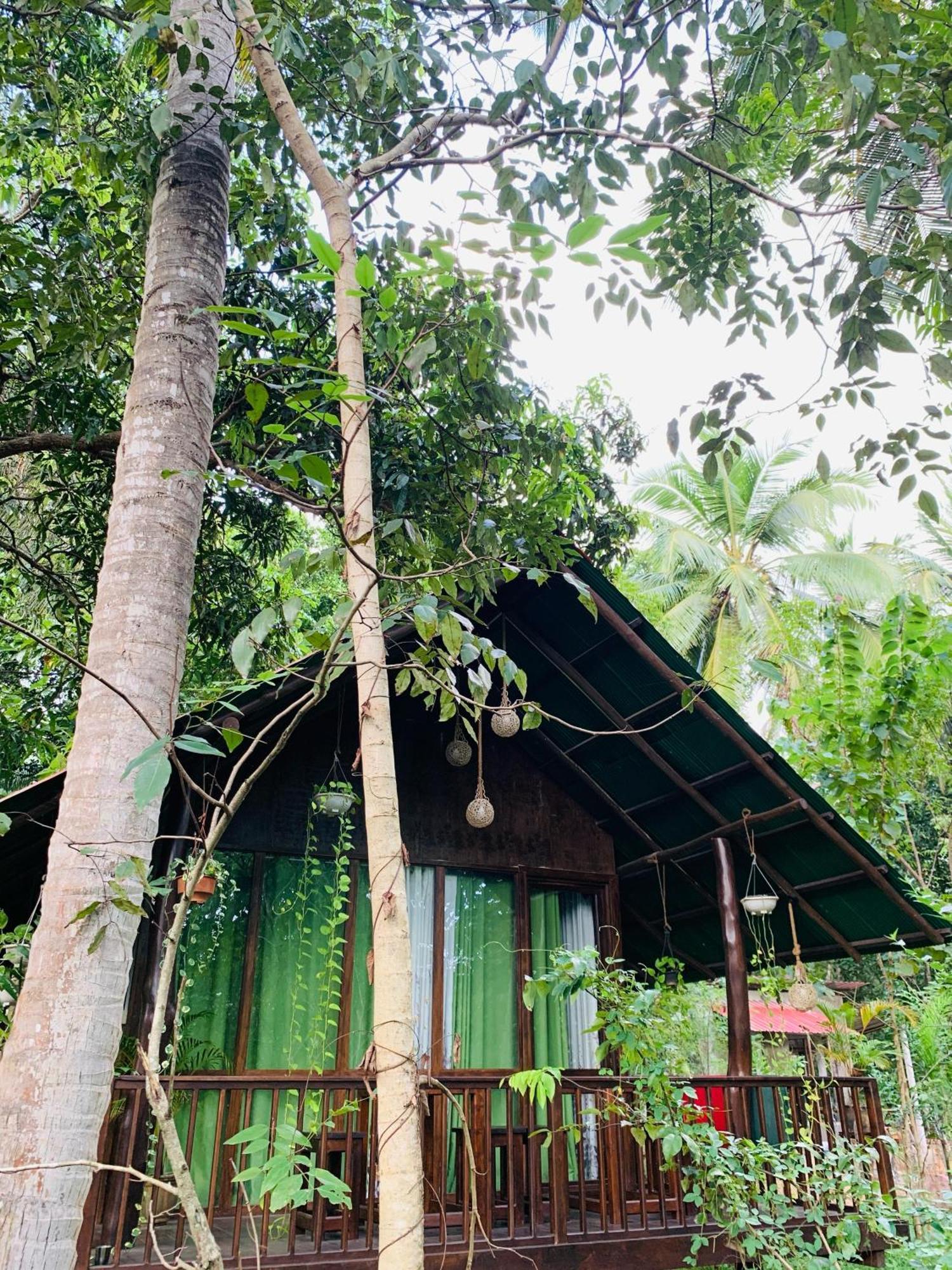 Nature World Jungle Paradise Uda Walawe Chambre photo